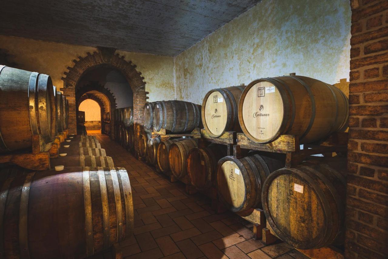 Wine Residence Cattunar Brtonigla Exteriör bild